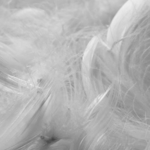 Relleno de plumas de ave