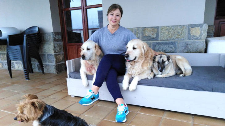 Sofá para mascotas con espuma a medida - 1